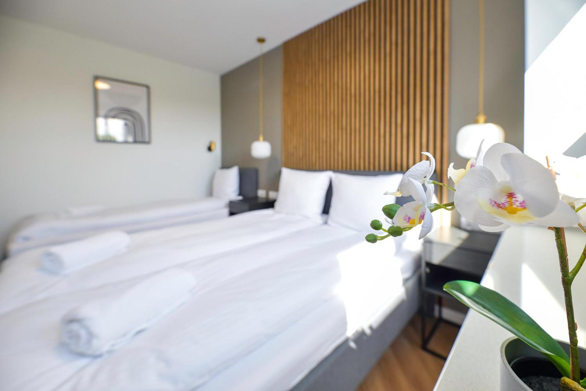 Magic Apartments - Aroma Zator Eksteriør billede