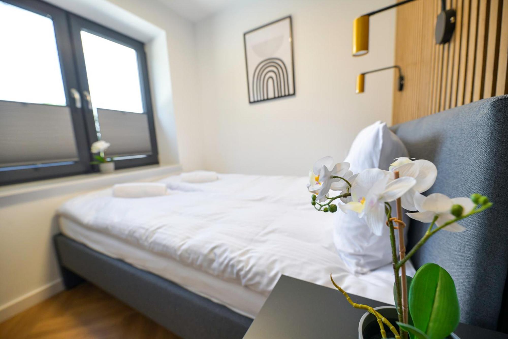 Magic Apartments - Aroma Zator Eksteriør billede